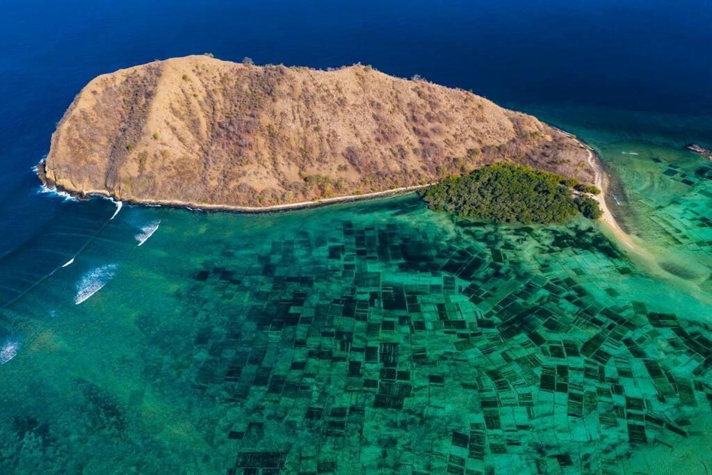 Beach-Front Sumbawa Surf House Lemonga Exterior foto